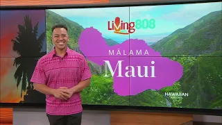 Mālama Maui Mad in Maui County Festival - Complimentary shuttle