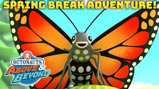 Octonauts: Above & Beyond -  Another Spring Break Adventure! | Compilation | @OctonautsandFriends