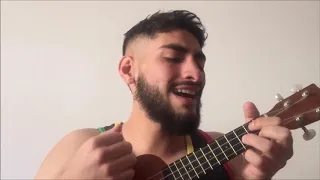 Tan solo ukelele los piojos cover