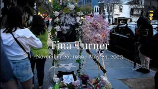 Fans pay tribute to TINA TURNER star on Hollywood Walk of Fame May 24, 2023