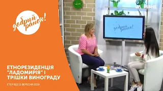 Ранкове шоу "Добрий ранок" || 13 вересня 2019