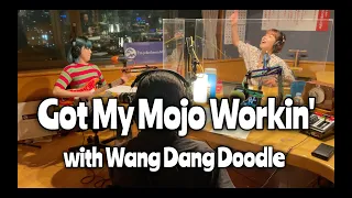 Wang Dang Doodle x Tama - Got My Mojo Workin' (Radio Session)