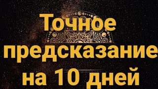 💥Чего ожидать в ближайшие 10 дней? 💯Точное онлайн гадание на картах Таро.Приглашаю на обучение🔥|18+