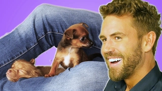 Nick Viall From “The Bachelor" Plays With Puppies (While Answering Fan Questions)