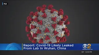 Report: COVID-19 likely leaked from lab in Wuhan, China