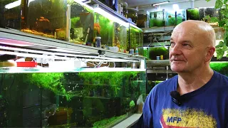 Amazing Garage Fish Breeding Room | In Depth Tour