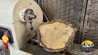 JUNK WOOD Turned Into SPALTED BEAUTY!- Woodturning