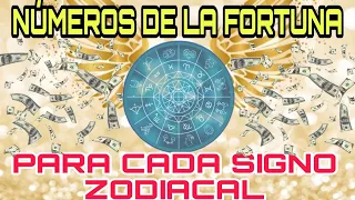 📌😉 NÚMEROS DE LA SUERTE PARA HOY 🍀 NÚMEROS GANADORES 💵