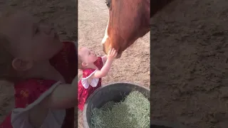 Kiddo Gives Good Night Kisses to Her Horses || ViralHog