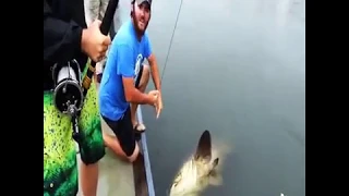 Another 400lb Monster Fish.