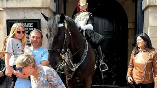 Royal Horse Hits Her and She Reacts Like This at Horse Guards