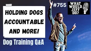 Dog Training Q&A - Holding Dogs Accountable - What Would Jeff Do? Ep.755 (2020)
