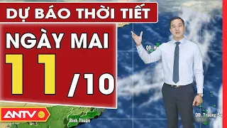 Dự báo thời tiết ngày mai 11/10: Miền Bắc ngày hửng nắng, trời lạnh về sáng và đêm | ANTV