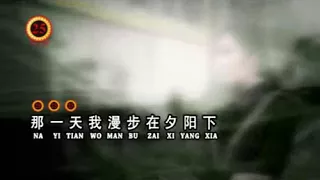 Dang Wo Xiang Ni De Shi Hou '当我想你的时候'