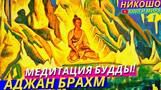 Как Будда Исследовал Неземные Миры Растворяя Ум и Телесные Оковы?! НИКОШО и Аджан Брахм