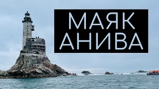 Экскурсия на МАЯК АНИВА: дикая природа Сахалина