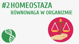 Homeostaza, równowaga w organizmie #2 [ Homeostaza ]