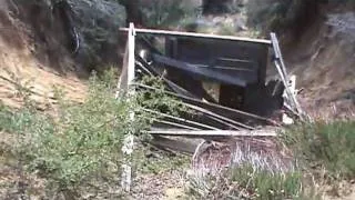 Finding An Abandoned Gold Mine in Pine Valley, CA