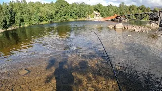 ВЕЧЕРНЯЯ РЫБАЛКА /  РАДУЖНАЯ ФОРЕЛЬ / EVENING FISHING / RAINBOW TROUT