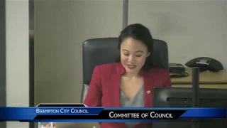 Committee of Council Meeting  - January 30, 2019