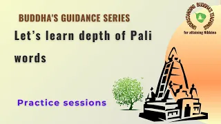 What if I don't know or understand Pali?