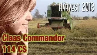 Claas Commandor 114 CS and lodged rice