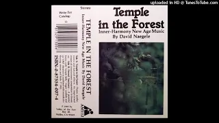 David Naegele - Temple In The Forest (Full Album Cassette 1982)