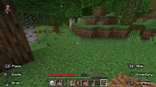 Minecraft_20240317154514