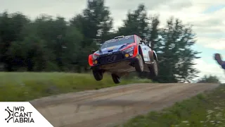 The best of WRC Rally de Estonia 2022 | Flat out & Jumps