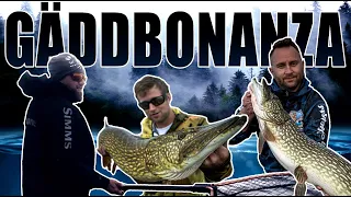 DSH & Caimanbaits - Gäddbonanza (10+ & metersfiskar) [eng subs]