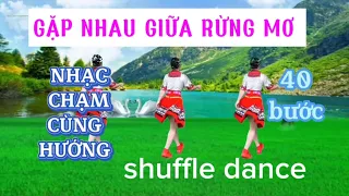 Gặp Nhau Giữa Rừng Mơ/Shuffle dance - Nhạc chậm CÙNG HƯỚNG