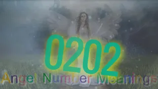 angel number 0202 |  The meaning of angel number 0202