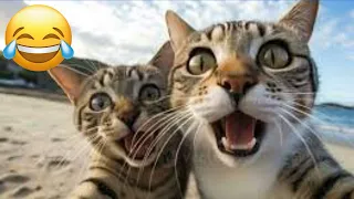 CATS you will remember and LAUGH all day! 😂Funny Cats Videos 2024