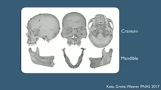 CARTA Presents The Origins of Today's Humans - Tim Weaver: The Evolution of the Human Skull