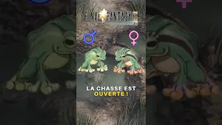 Deux astuces pour distinguer les grenouilles dans FFIX #FFHACKS