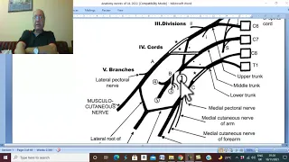 Musculo-skeletal Module I in Arabic 28 ( Brachial plexus, part 2 ) , by Dr. Wahdan 2022