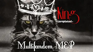 ●Multifandom MEP | KÏÑG | COMPLETED |