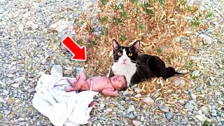 Cat Found A Baby Abandoned In The Rails,Then He Did Something That Left Everyone In Awe