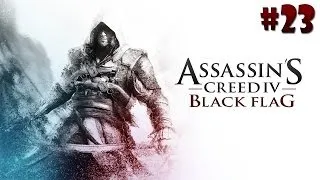 Assassins Creed 4 Black Flag прохождение - Серия 23 [Захват форта]