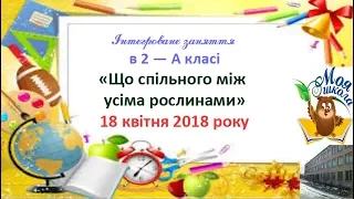 Інтегроване заняття. 2 - А клас. м. Сватове. 18.04.18. Тема: "Що спільного між усіма рослинами?"