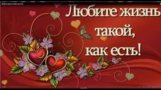 Любите жизнь такой, как есть!