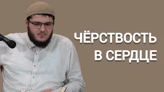 ЧЁРСТВОСТЬ В СЕРДЦЕ | Мухаммад Кавсари