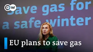 EU agrees on emergency plan to 'face down the threat of a full gas disruption' | DW News