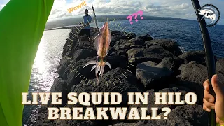 Handpoling live squid!?! || Overnight trip at end of Hilo Break wall! || Handpole Madness Ep#5