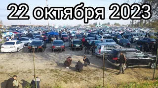 ОБЗОР ЦЕН НА АВТОРЫНКЕ БИШКЕК 2023