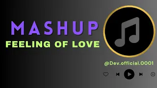 Feeling Of Love Mashup | Non-Stop Mashup | Love Mashup songs | @Dev.Official.0001