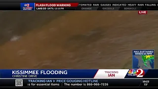 WATCH: Catfish swims in floodwaters Kissimmee