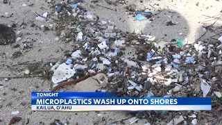 Kailua Beach flooded with microplastic debris after large swells