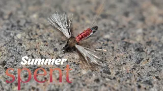 Fly Tying Dry Fly #18 Summer spent - Fly Spirit Blog