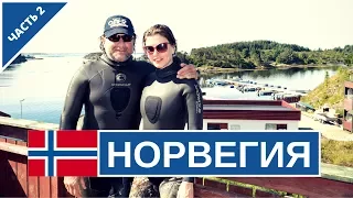 Подводная охота в Норвегии. Как охотится чемпион Норвегии?
